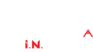 Logo Concurs Arhitectura I.N. Socolescu Alb